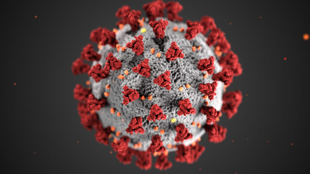 Coronavirus_3D_illustration_by_CDC_1600x900-1024x576 Coronavirus_3D_illustration_by_CDC_1600x900-1024x576